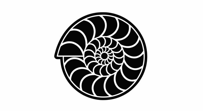 Black Nautilus Shell Spiral Design.