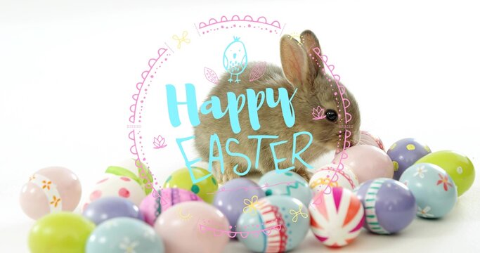 Snuggling brown rabbit among pastel eggs on white studio backdrop, Happy Easter graphic, copy space