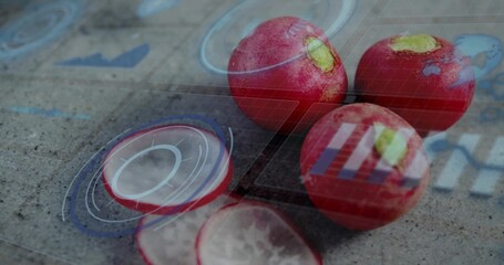 Fototapeta premium Displaying red radish cluster with sliced pieces on gray stone slab, with HUD overlays and droplets
