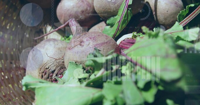 Displaying beetroots with leafy greens resting in woven basket on stall, with soil and overlays