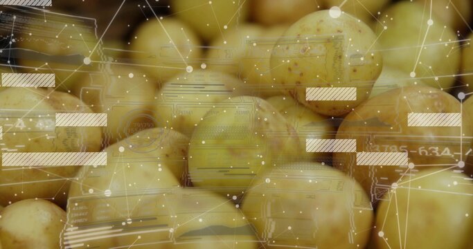 Displaying cluster of baby potatoes at market bin, showing network lines and translucent UI panels