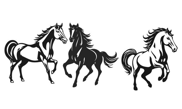 Set of horse silhouettes in various poses isolated on white. elegant equine shapes for design and branding. horse silhouette, running horse, wild animal, equine motion, farm symbol