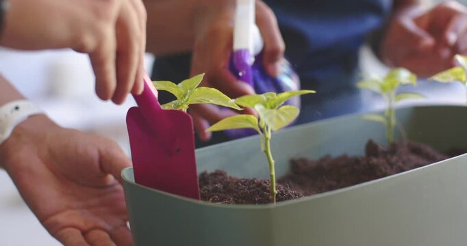 African American couple grasping trowel and sprayer scooping and misting plants on counter to water