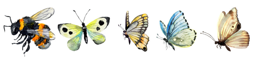 Watercolor insect clip art on an isolated background. Watercolor bumblebee, lemon butterfly, and yellow butterfly. © Antonina Rushkina