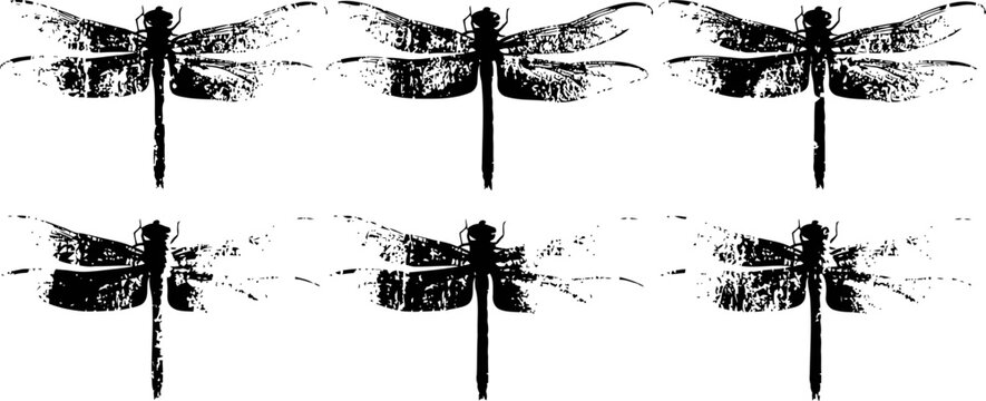 Set of six black dragonfly silhouette ink splatter illustrations with detailed wings and bodies