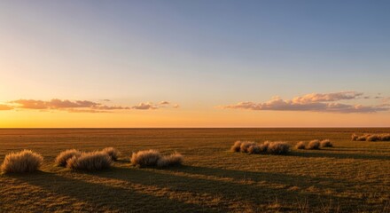 Fototapeta premium Golden Sunset Over Vast Grassland Horizon