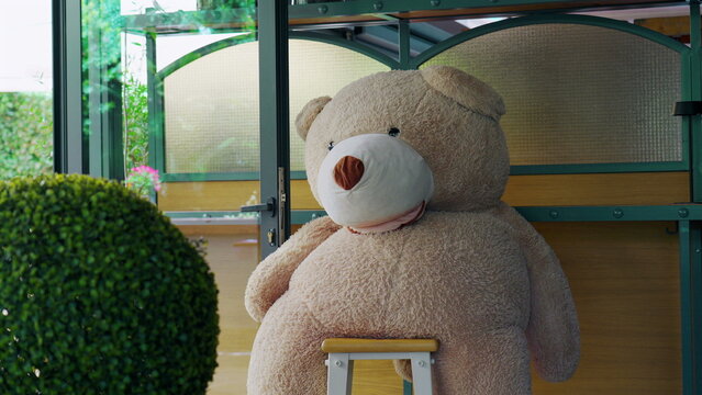 Large teddy bear seated on stool in cozy caf&eacute; interior facing doorway with outdoor greenery and flowers in background