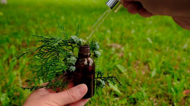 Thuja essential oil and supplements. Selective focus.