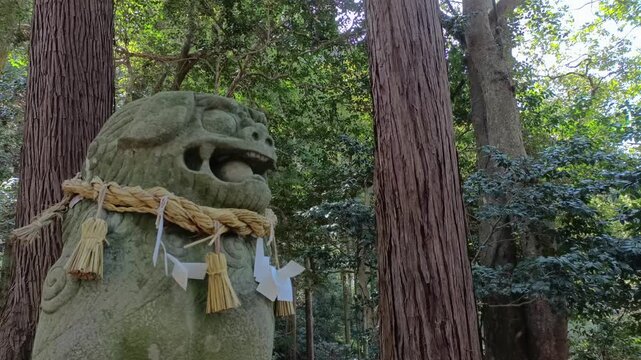 Close-up of guardian lion statue with sacred rope in Japanese shrine forest