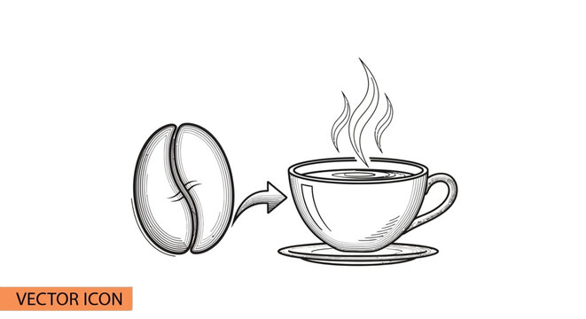Coffee bean transforming into steaming hot cup sketch icon