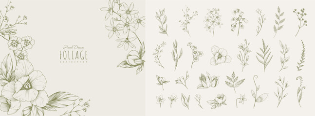 Obraz premium Set of detailed various flowers and foliage, intricate details and delicate forms. Hand drawn vector illustration with elegant botanical elements for invitation, save the date card
