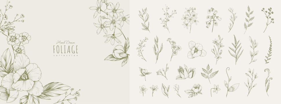 Set of detailed various flowers and foliage, intricate details and delicate forms. Hand drawn vector illustration with elegant botanical elements for invitation, save the date card