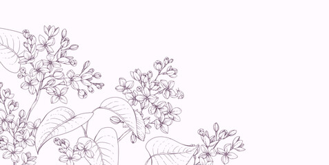 Lilac blooming. Spring background with flowers and brunch. Detailed botanic hand drawn ink illustration for Mothers Day invitation or wedding save the date © merfin