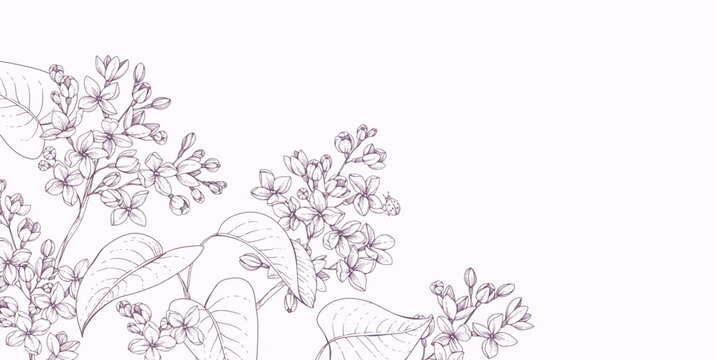 Lilac blooming. Spring background with flowers and brunch. Detailed botanic hand drawn ink illustration for Mothers Day invitation or wedding save the date