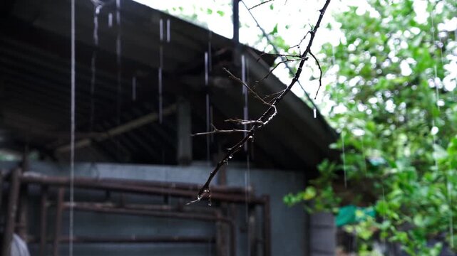 Rainy Season Ambiance: Raindrops dripping from Roof, Water on Pavement and Green Grass Details, Terracotta Wind Chime and Satellite Dish in Monsoon Weather.