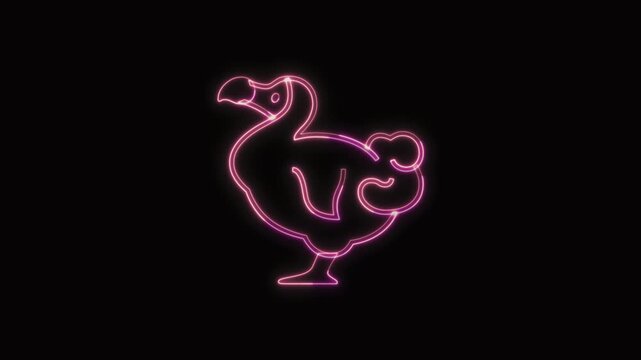  Dodo Animal Icon Neon Seamless Loop 4K with Black Background Animated Promotional Typography for Video Editing