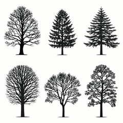 Obraz premium six tree silhouettes in black and white vector set