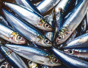 Fototapeta premium Fresh anchovies, whole raw, closeup, full frame, macro shot. AI