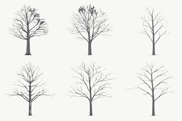 Obraz premium bare trees in sketch style on white background