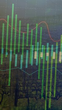 Vertical video: Left green bars appearing, chart expanding, visualizing trends over clear vines