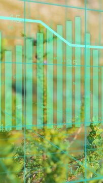 Vertical video: Blur starting cyan overlay bars rising line dropping sapling focusing showing trend
