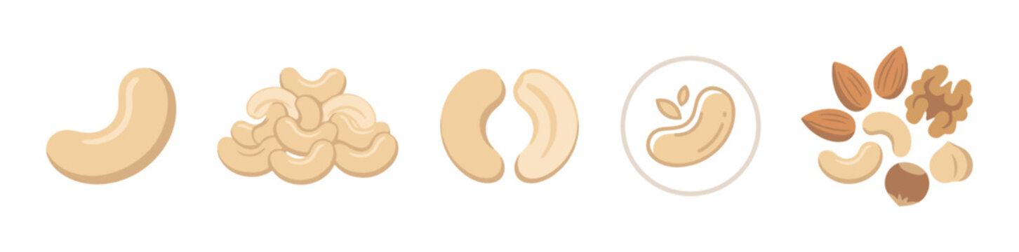 Various delicious nuts and cashews are depicted in a flat, modern illustration style, showcasing healthy snack options and ingredients.