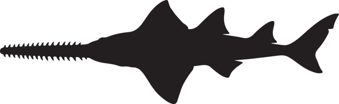 Silhouette of a sawfish with serrated snout, isolated on white background