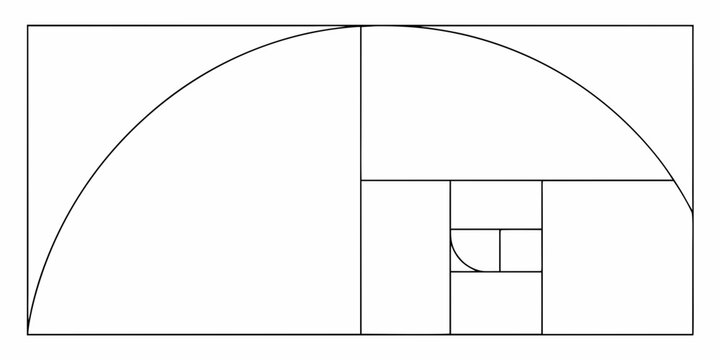 golden ratio spiral illustration with geometric squares on white background high quality professional detailed modern