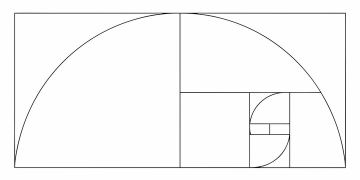 golden ratio spiral illustration with geometric squares on white background high quality professional detailed modern