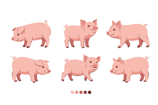 Set of cute pink cartoon pig characters in various poses. Flat vector illustration of farm animals isolated on white background. 