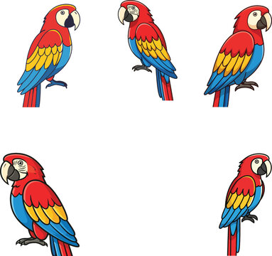 Scarlet red macaw parrot vector illustration set featuring colorful tropical bird characters in various sitting poses isolated on white background for zoo wildlife