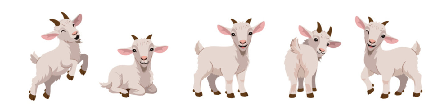 Collection of cute white baby goat cartoon characters in various poses. Happy little kid goat jumping, sitting, and standing vector illustration for farm animal design.
