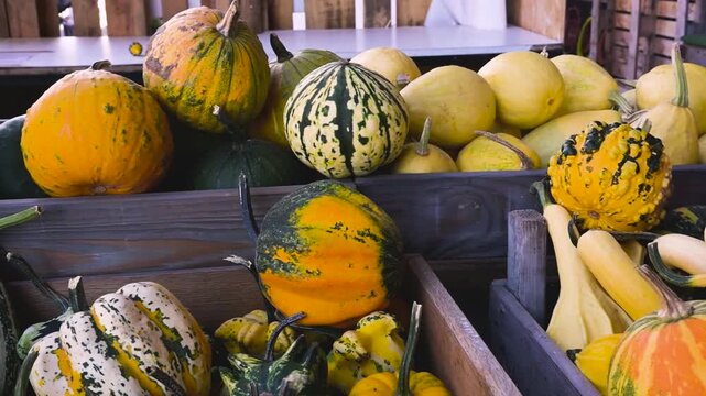 A close-up, slow motion HD shot of various decorative pumpkins and gourds displayed in wooden crates at a market