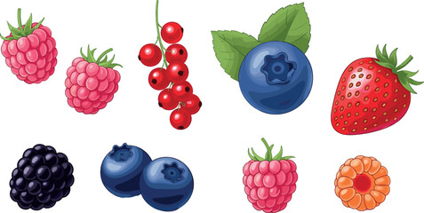 Set of fresh berries vector illustrations featuring strawberry blueberry raspberry blackberry and red currant isolated juicy fruit collection © MstTanzila