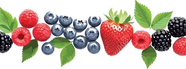 Mixed berries vector border illustration with strawberry blueberry raspberry and blackberry leaves fresh organic fruit decorative design © MstTanzila