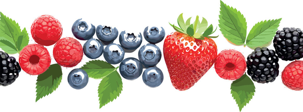 Mixed berries vector border illustration with strawberry blueberry raspberry and blackberry leaves fresh organic fruit decorative design