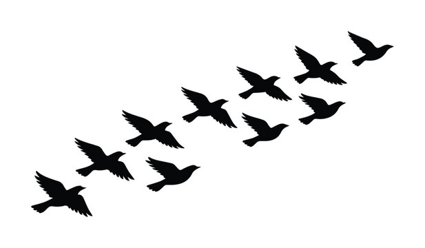 Siluetas de aves volando en formaci&oacute;n, bandada de p&aacute;jaros migratorios en vuelo, dise&ntilde;o vectorial minimalista de aves en movimiento, libertad y naturaleza