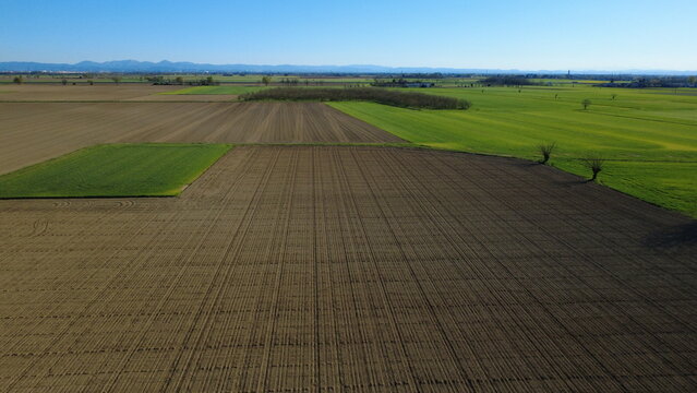 Aerial view of Ploughed fields and green wheat fields, San Giuliano Nuovo, Alessandria, Piedmont, Italy