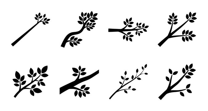 Minimalist tree branch silhouettes, black leaf and twig icons, set of 8 botanical vector elements for nature logos and eco branding