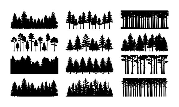 Black pine forest silhouettes, evergreen tree line vector set, coniferous woodland landscape borders, 12 nature timber silhouettes for outdoor design