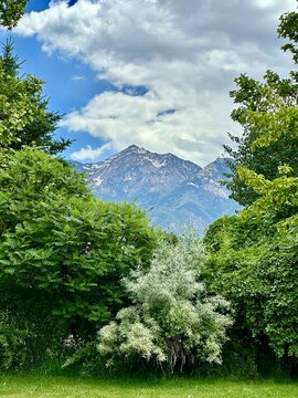 View of snowcapped mountains through the trees, Flat Iron Mesa Park, Sandy, Utah, USA