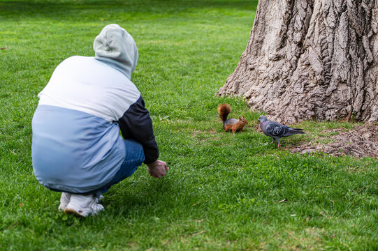 Rear view of a teenage boy in a hoodie photographing a squirrel in the park in springtime, Georgia