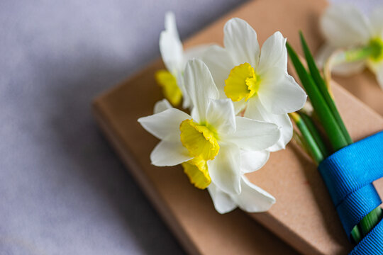 Close-up of two cardboard Gift boxes with fresh daffodils