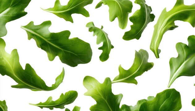 Fresh Arugula Leaves Flying In The Air From Various Angles. Vivid Green Ruccola In Motion, Captured In A Dynamic Display.