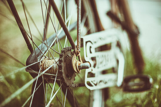 Close-up of a bicycle wheel in a rural landscape, Sweden