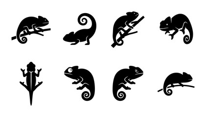 black and white vector icons of various chameleon poses on branches © Sumaiya
