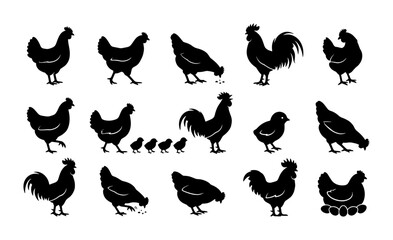 Black chicken silhouette collection, farm poultry vector set with roosters and hens, rustic bird icons for organic food branding and agriculture © Zahir