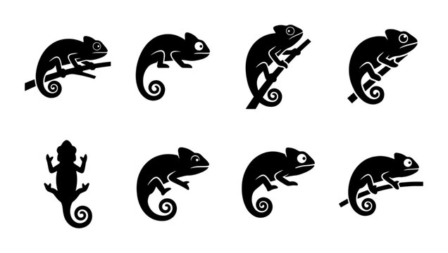 Chameleon silhouette icons set, black lizard reptile vector graphics, 8 exotic animal logo elements, tropical wildlife nature symbols