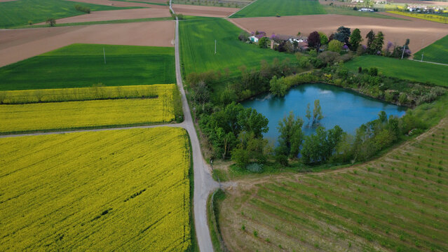 Aerial view of a road through the countryside bordered by rapeseed fields, farmland and a pond, Pozzolo Formigaro, Alessandria, Piedmont, Italy