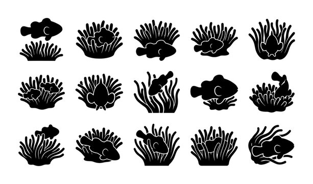 Clownfish and sea anemone silhouette icons, set of 15 tropical fish vector illustrations, black underwater marine life symbols for aquatic design